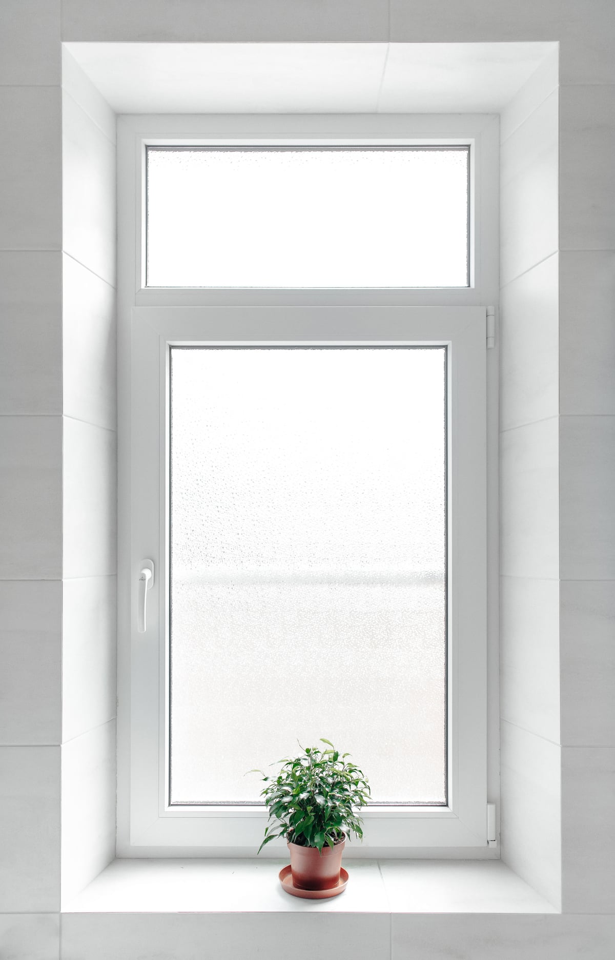 Modernes, blickdichtes Kunststofffenster mit Mehrkammerprofil und Kippgriff, davor eine Zimmerpflanze auf der Fensterbank